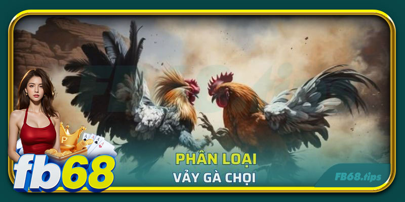 Phân loại vảy gà chọi được sư kê đánh giá cao
