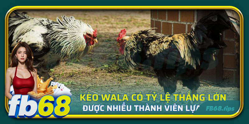 Kèo wala có tỷ lệ thắng lớn dễ dàng khi chơ