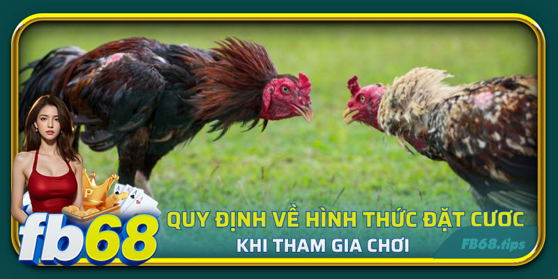 Quy định về hình thức đặt cược khi tham gia chơi