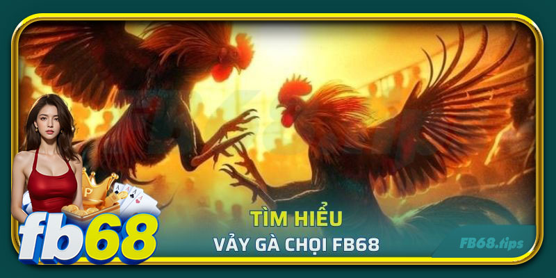 Tìm hiểu vảy gà chọi cùng FB68