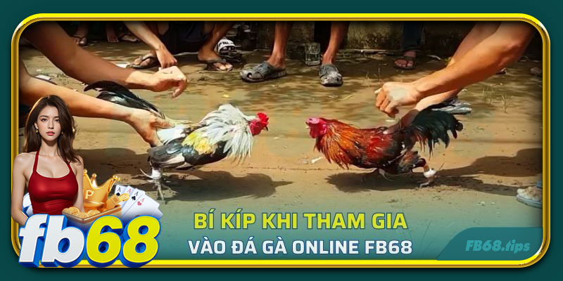 Bí kíp khi tham gia vào đá gà online FB68