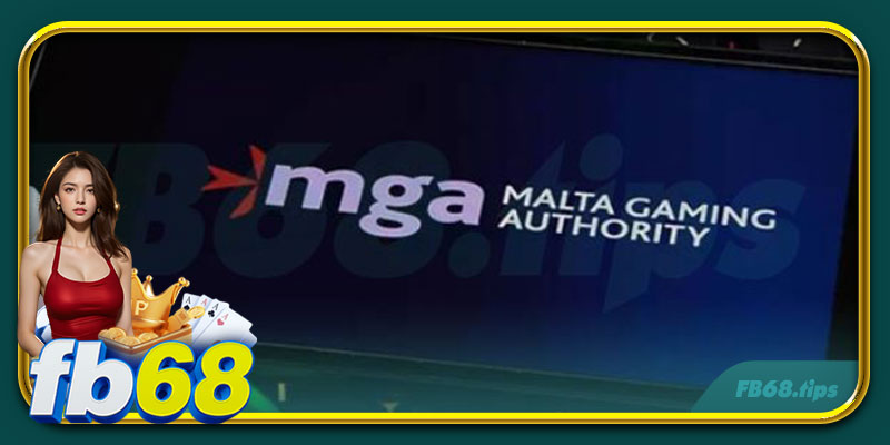 Hướng dẫn quy trình xin giấy phép cá cược Malta cho đơn vị cược