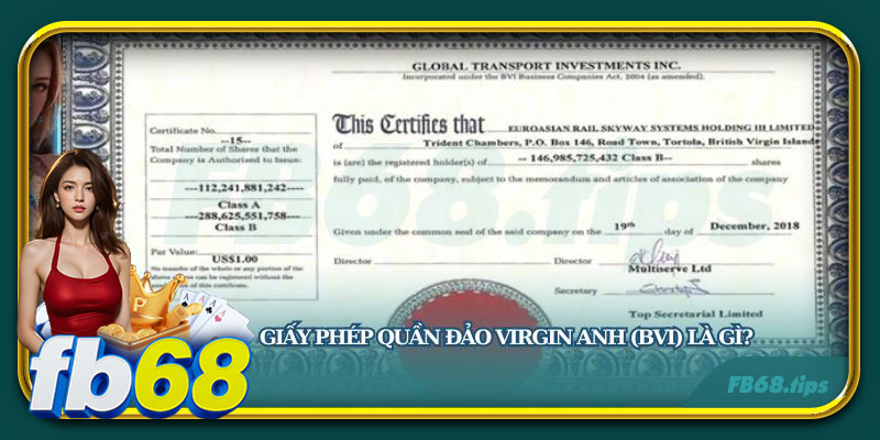 Tìm hiểu về Giấy Phép Quần Đảo Virgin Anh BVI