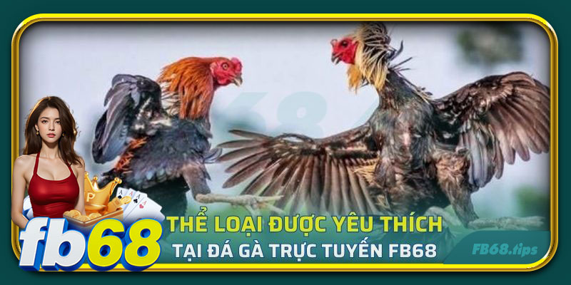 Thể loại được yêu thích tại đá gà trực tuyến FB68