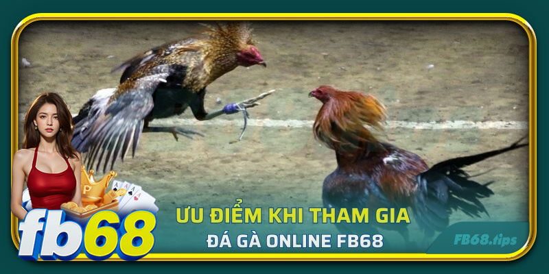 Ưu điểm khi tham gia đá gà online FB68